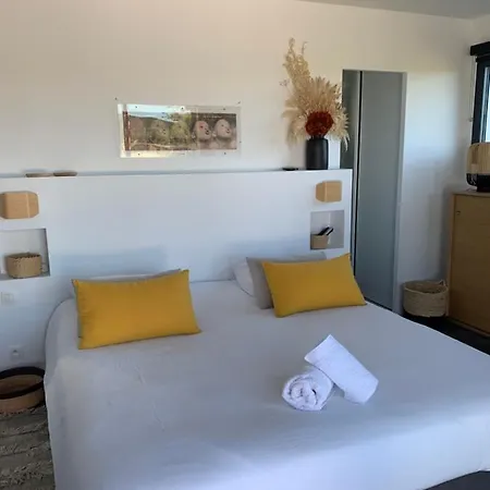 Luxe Avec Grande Piscine Proche Des Plages *