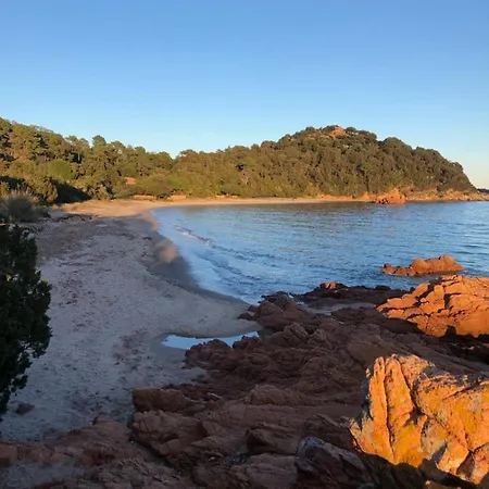 Luxe Avec Grande Piscine Proche Des Plages *