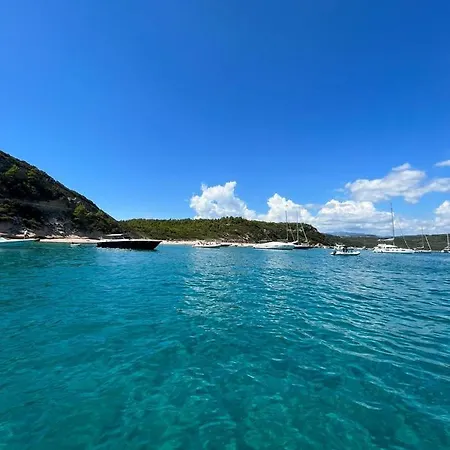 Luxe Avec Grande Piscine Proche Des Plages بورتو فيكشْيو